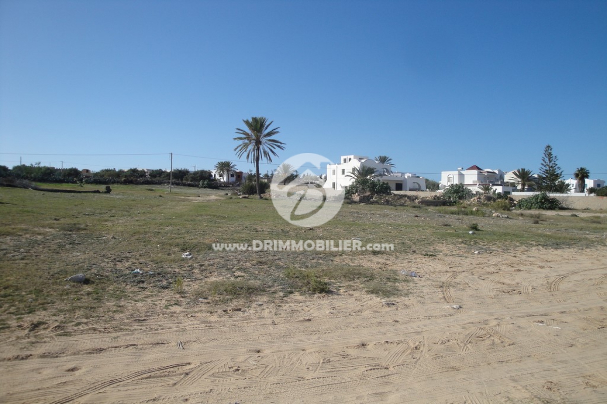 V 060 -                            Vente
                           Terrain Djerba